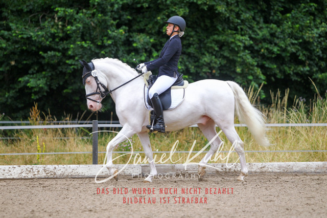 DKP47115 | Turniersportfotografie; Pferdefotografie; Dressurfotografie