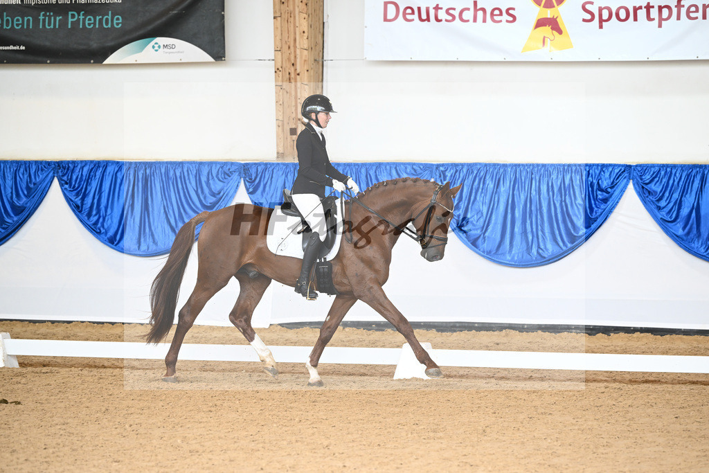 Kat-Nr. 85 Freudentanz_Grocholewski_14242281 | hf-fotografie - Realizzato con Pictrs.com