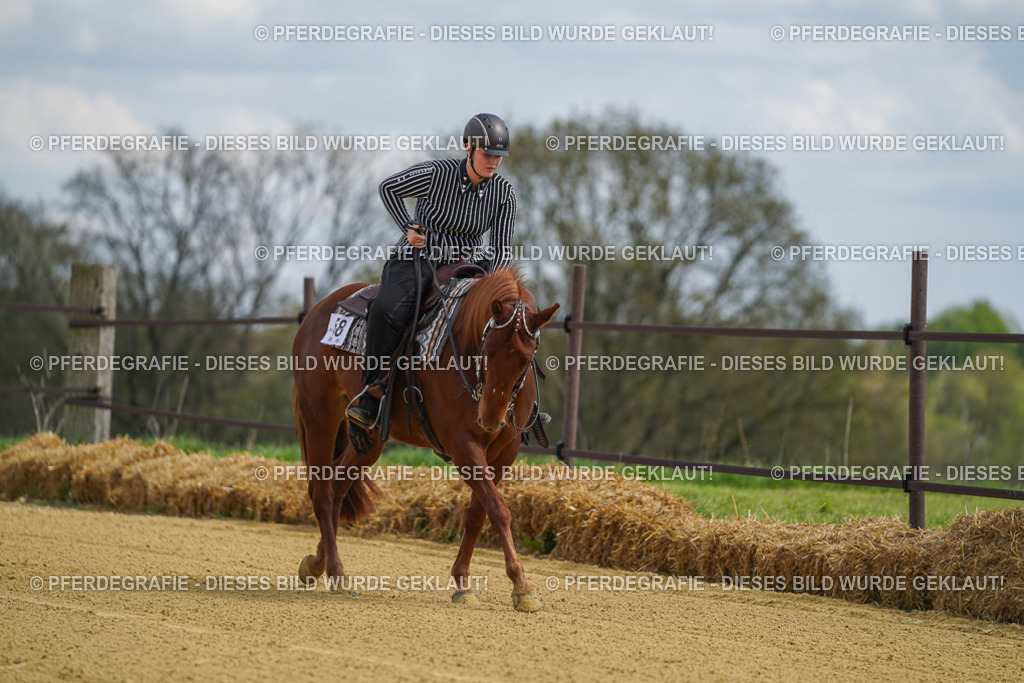 DSC05584 | Pferdegrafie