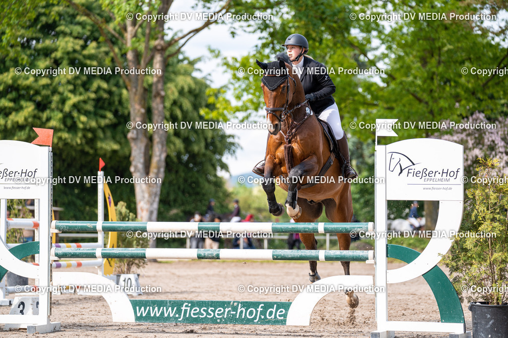 Eppelheim Tag 2-647 | dv-media-shop - Realisiert mit Pictrs.com