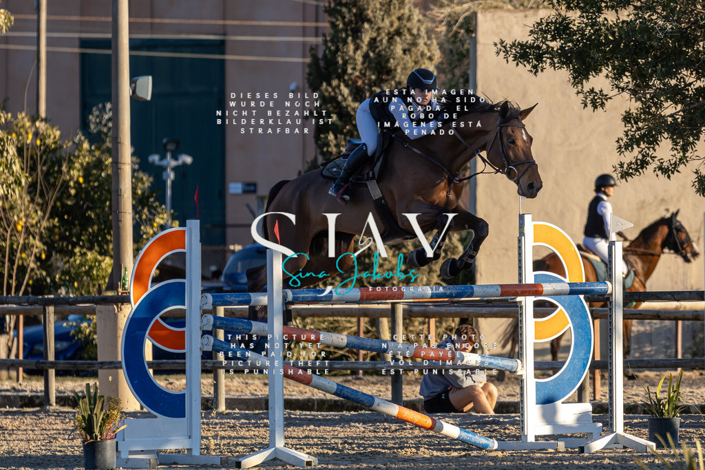 IMG_2811 | s-jay-photography - Realisiert mit Pictrs.com