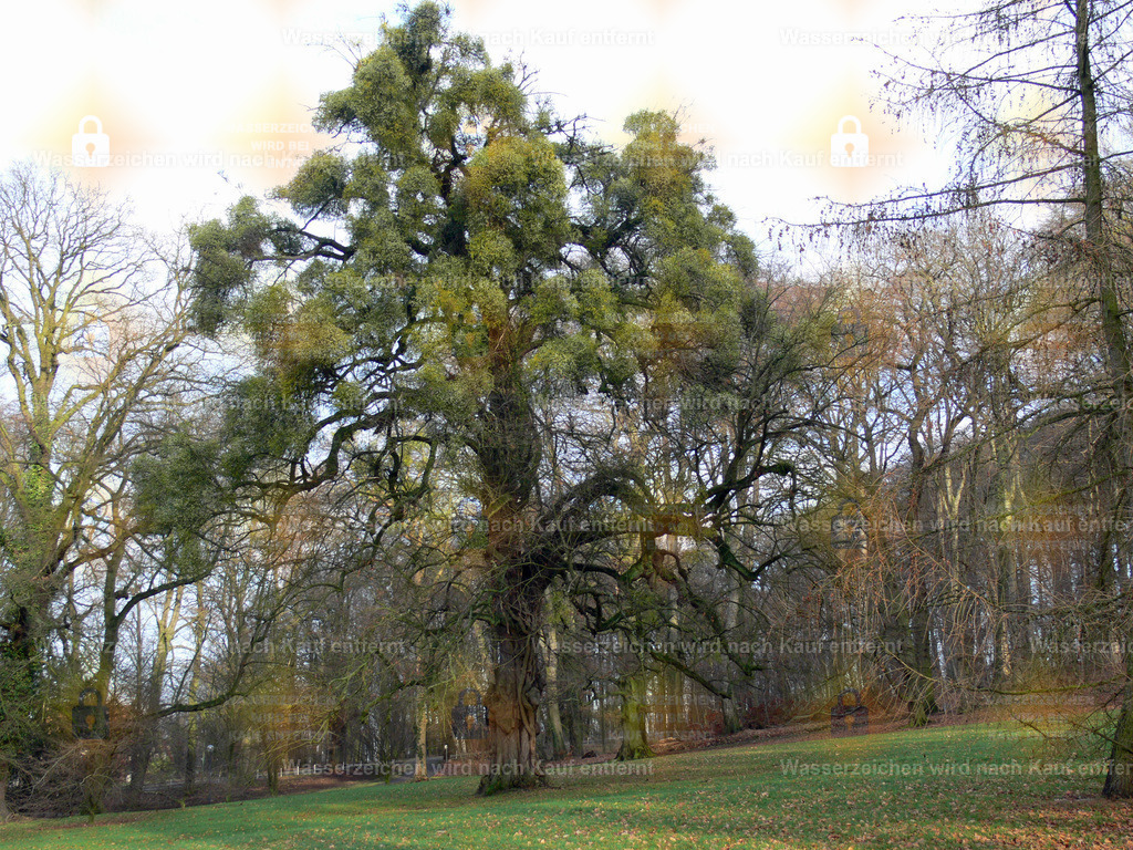 P1010777 | Fotoseite Wolkenblende - Das Hobby fotografieren begleitet mich schon  viele  Jahre. Auf den nächsten Seiten zeige ich ein paar Schnappschüsse der letzten Jahre und es kommen immer neue hinzu. Schau einfach mal rein. - Realisiert mit Pictrs.com