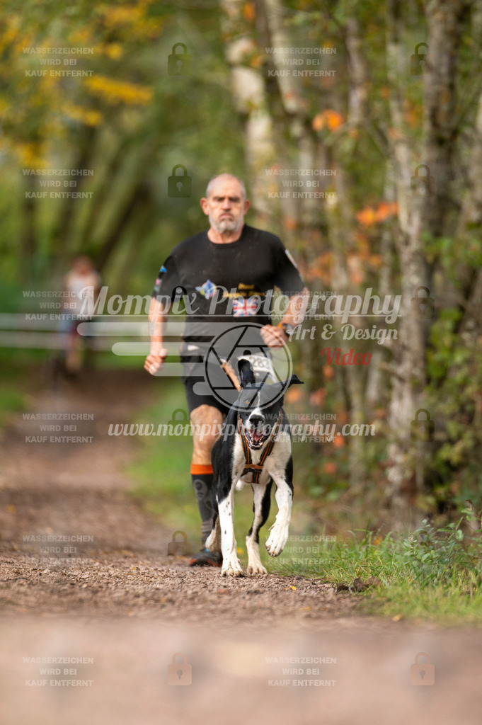 TSB_2023_E4_Canicross-197 | PayLife