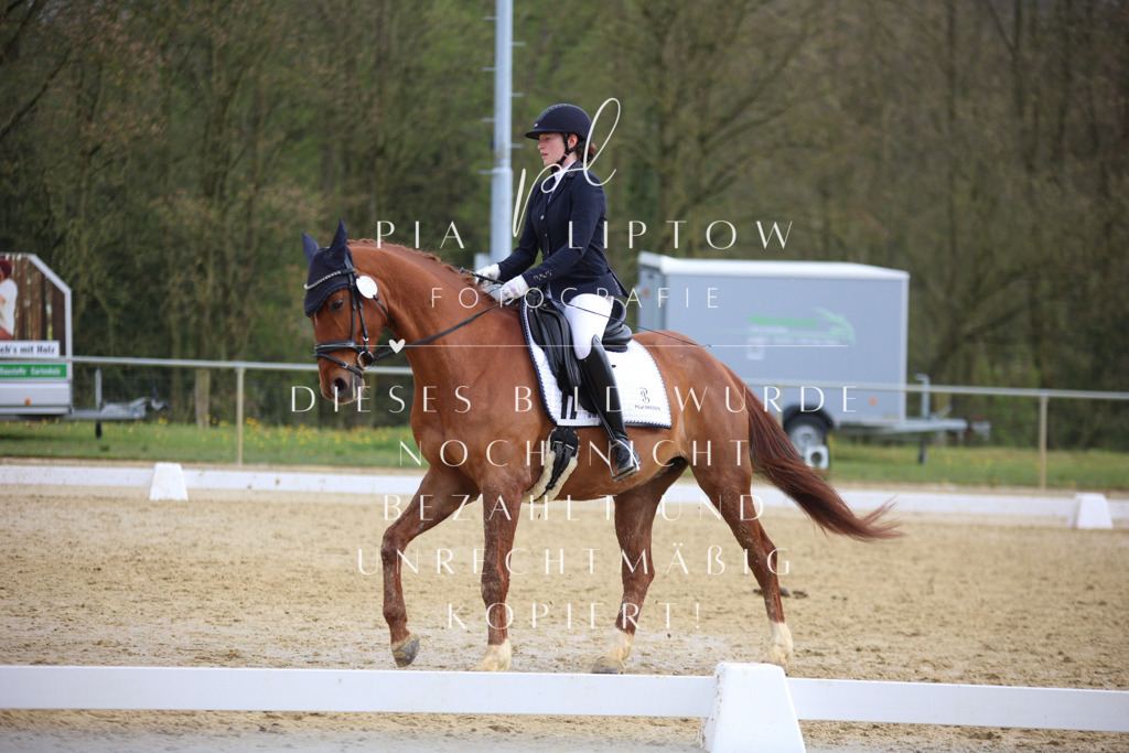 IMGT6785 | pl-fotografie