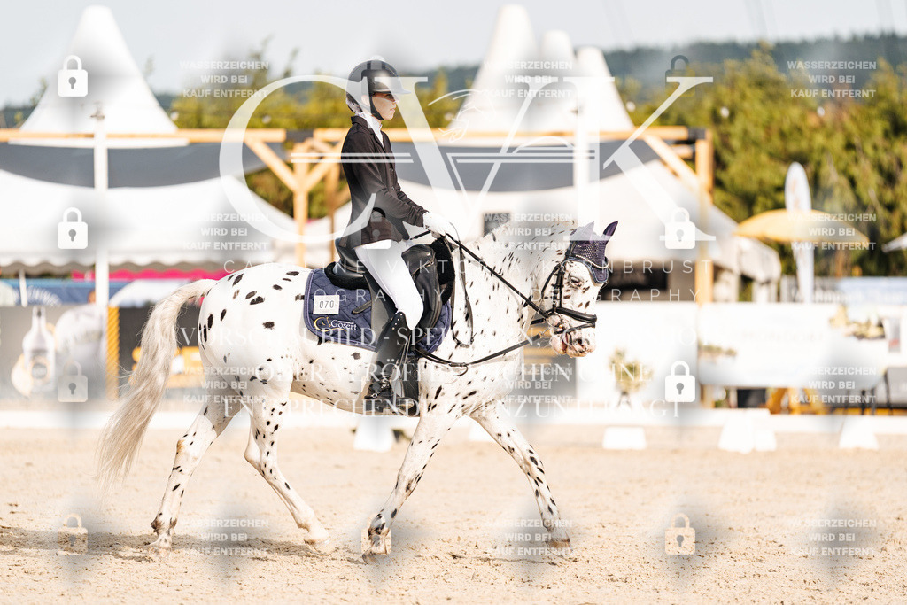 CK904375 | Turnierfotografie Pferdefotografie Trier Rheinland-Pfalz Pferdesport Reitsport Tierfotografie Sportfotografie Pferdevideo Pferdevideografie Equestrianvideography equestrianphotography  - Realisiert mit Pictrs.com
