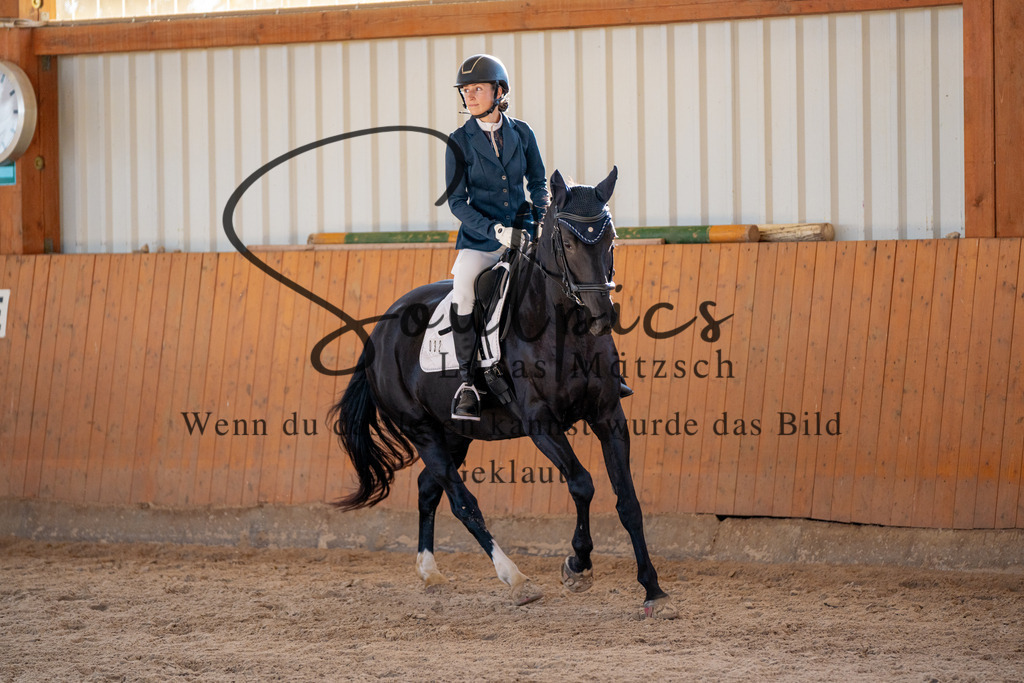 A7V01836 | Pferdefotograf