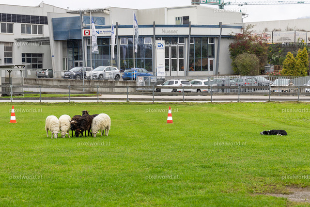 SchaZie-Tag Feldkirchen | Bildershop von pixelworld.at - Realisiert mit Pictrs.com