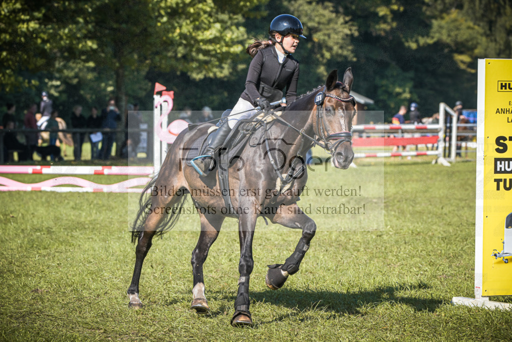 DOS_0875 | Entdecke hochwertige Reitturnierfotos von Foto Oger. Professionell, emotional und authentisch – jetzt Lieblingsmomente im Shop bestellen.Deutschlandweite Turnierfotografie. - Realisiert mit Pictrs.com