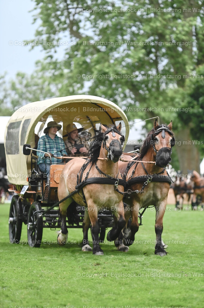 20240517_Lange-Pferdenacht_0137 | Foto: Thomas Hartig