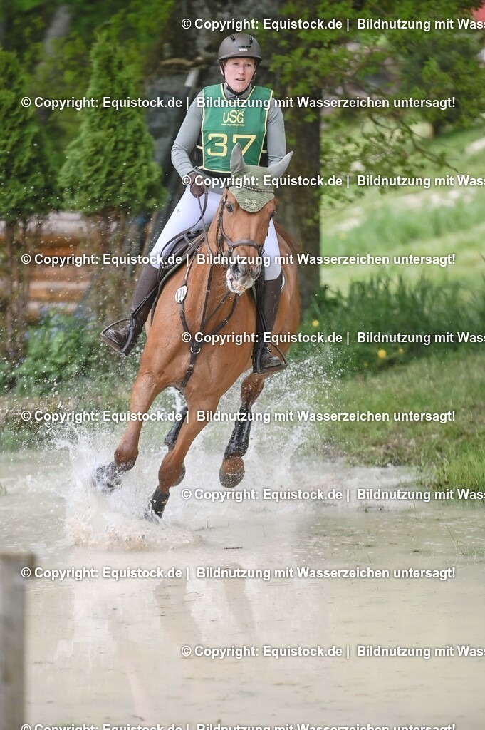 20250517_CCI1_Gelände_0440 | Foto: Thomas Hartig