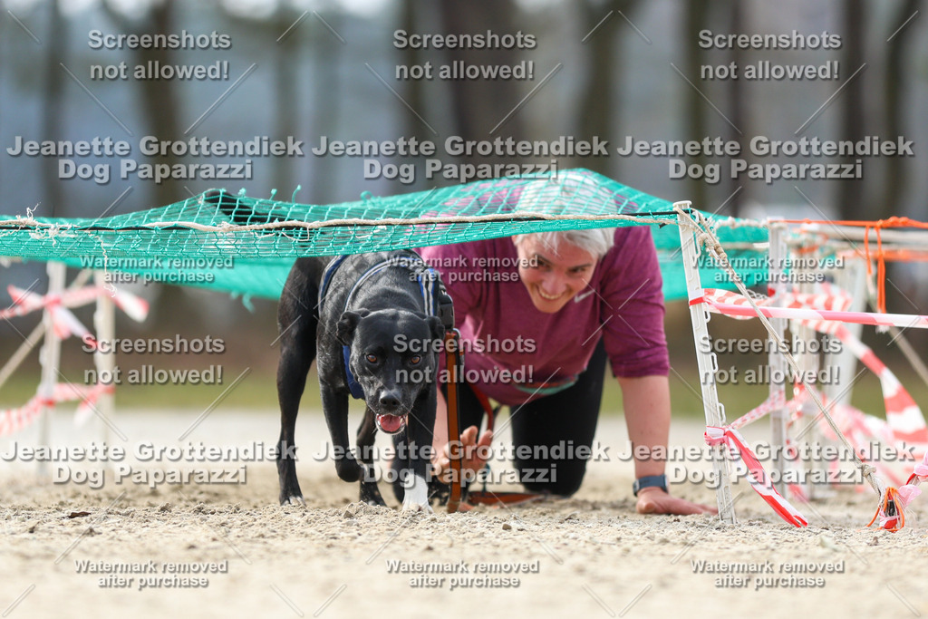 Dog Paparazzi - Strongdog North Mrz26-5284 | Dog Paparazzi Jeanette Grottendiek Fotografie & Videografie - Realisiert mit Pictrs.com