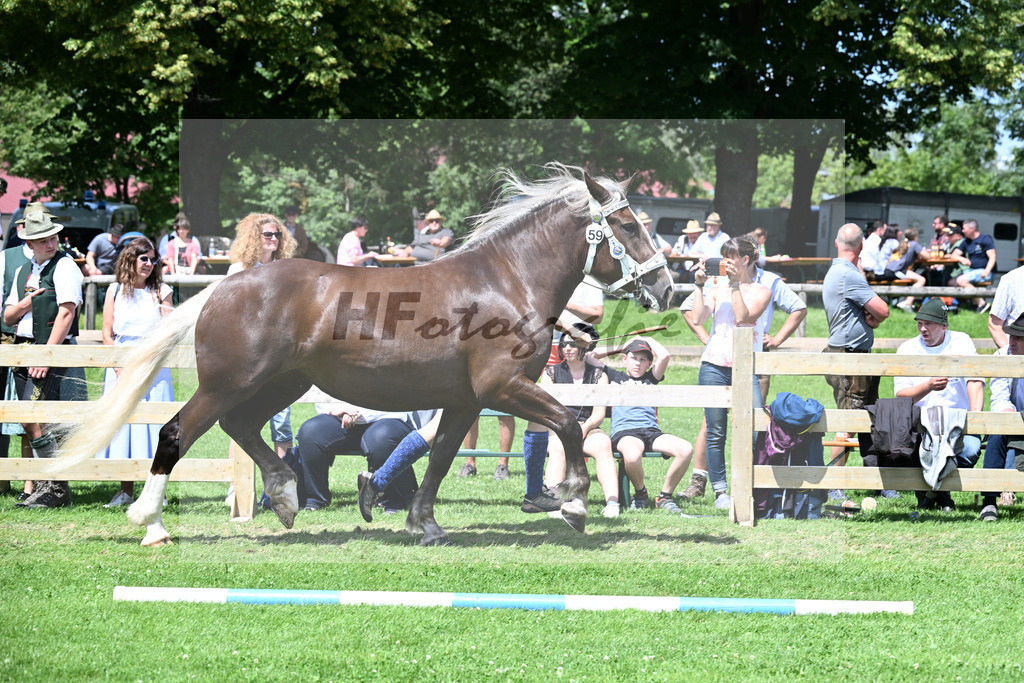Kat-Nr. 59 Eleonora v. Valdisere_Gilg_22241113 | hf-fotografie - Realizzato con Pictrs.com