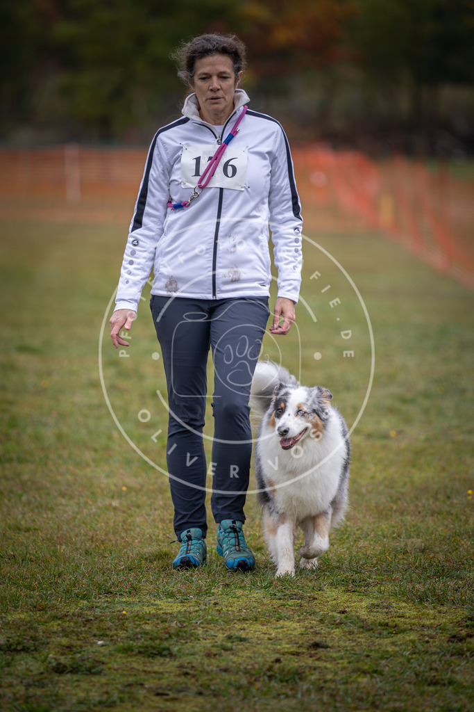 Pfotenfotografie_DV3A9381 | Hundefotografie, Tierfotograf, Pfotenfotografie, Fotoshooting Hund, Hunde Portrait, Hundesport, Hundeportraits, Heideshooting, Hunde, Sportfotograf, Hundefotograf, Turnierhundsport, THS,  - Realisiert mit Pictrs.com