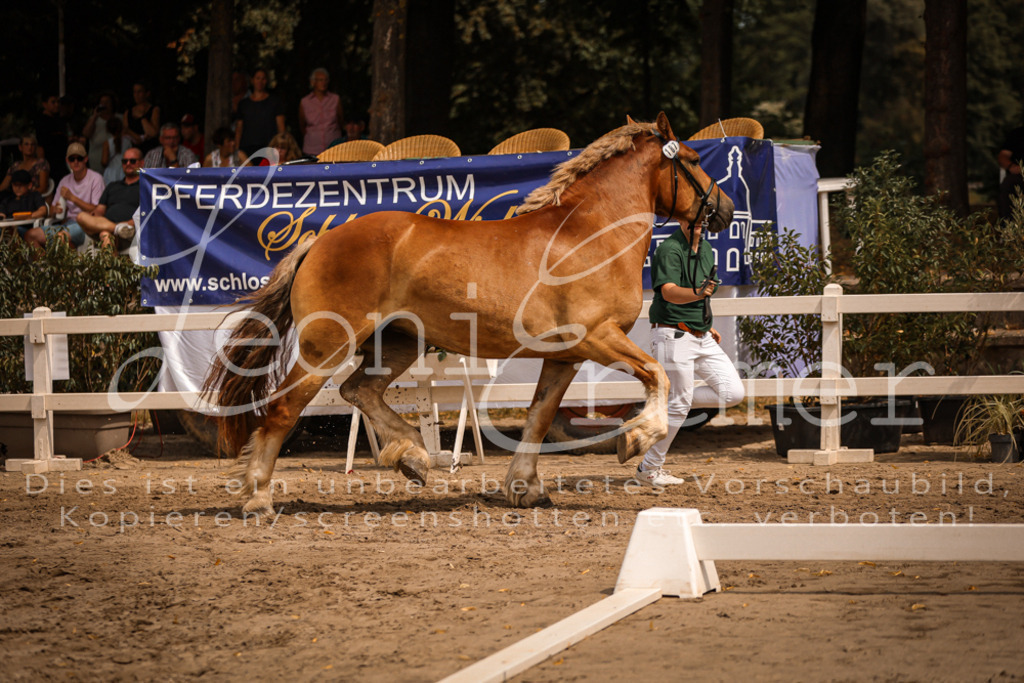 3.Sa00012 | Leoni Ertmer Photography - Realisiert mit Pictrs.com