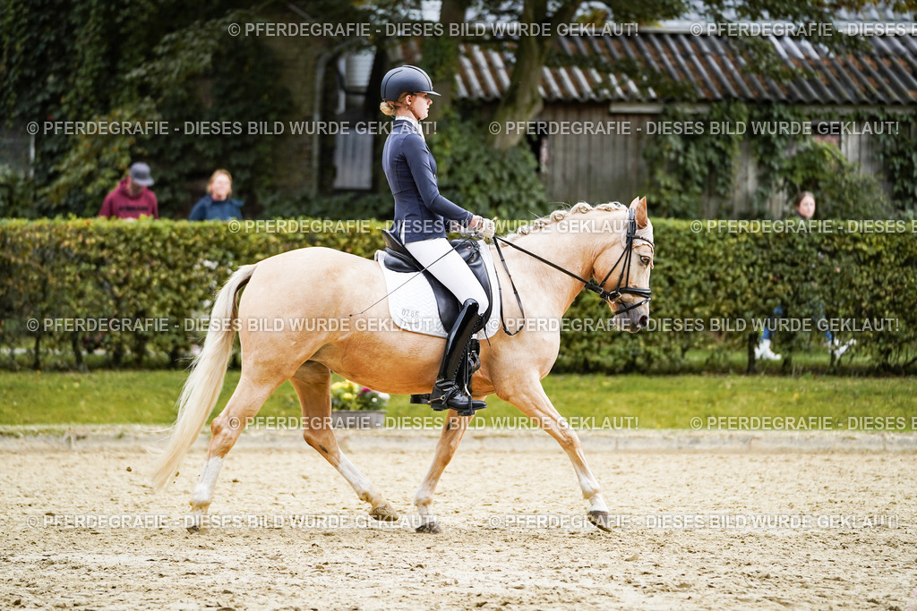 DSC00782 | Pferdegrafie