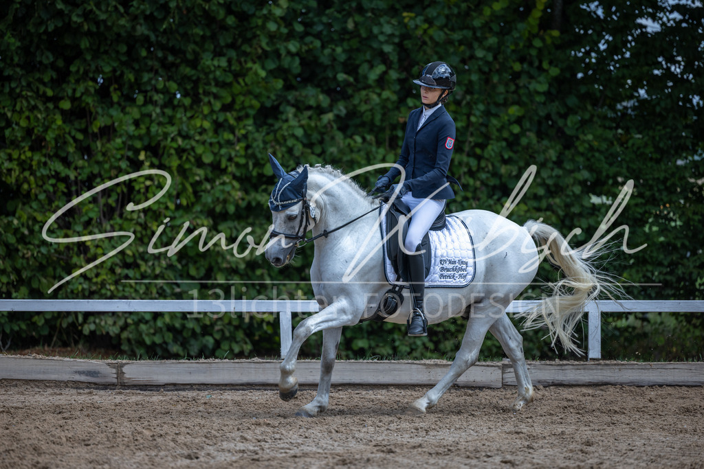 20260905-_3LI8217 | Tierfotografie Pferde, Hunde, Katzen, Haustiere.
Turnierfotografie Reitturniere, Reiten, Springreiten, Dressur in Hanau, dem Main-Kinzig-Kreis und dem Rhein-Main- Gebiet um Frankfurt