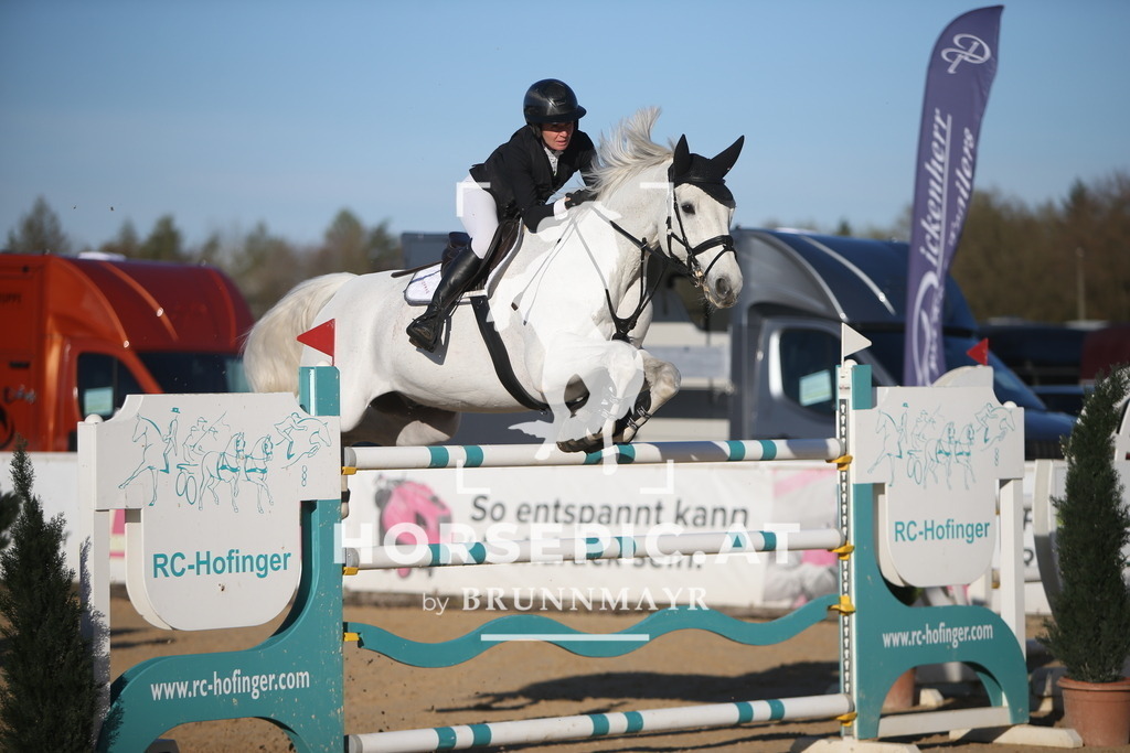 PP015998 | Willkommen bei Brunnmayr - Design & Fotografie – Ihrem Spezialisten für Reitturniere und Pferdeveranstaltungen in Oberösterreich, Salzburg und Bayern! Seit über 17 Jahren sind wir leidenschaftlich dabei.