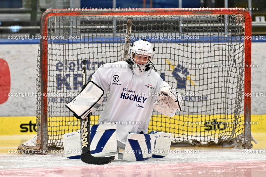 Z9B_1726 | hockey sports photos, Pressefotos, Sportfotos, hockey247, win 2day icehockeyleague, Handball Austria, Floorball Austria, ÖVV, Kärntner Eishockeyverband, KEHV, KFV, Kärntner Fussballverband, Österreichischer Volleyballverband, Alps Hockey League, ÖFB, 