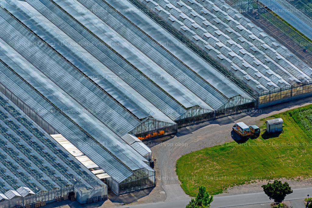 4032192 | Gewächshäuser an der Abt-Berno-Strasse, Insel Reichenau (Bodensee) im Landkreis Konstanz in Baden-Württemberg, Bodensee