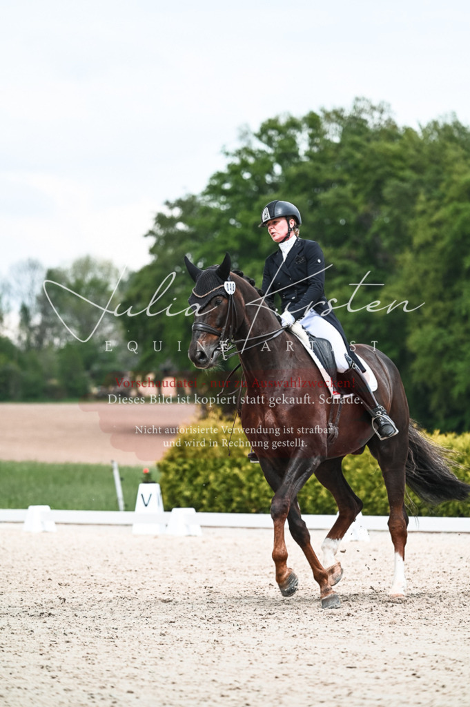 20230514_JK-Röhrsdorf-21-157 | Pferde- und Turnierfotografie in Westsachsen. Pferdeportraits, Auftragszeichnungen und intuitive Kunst.