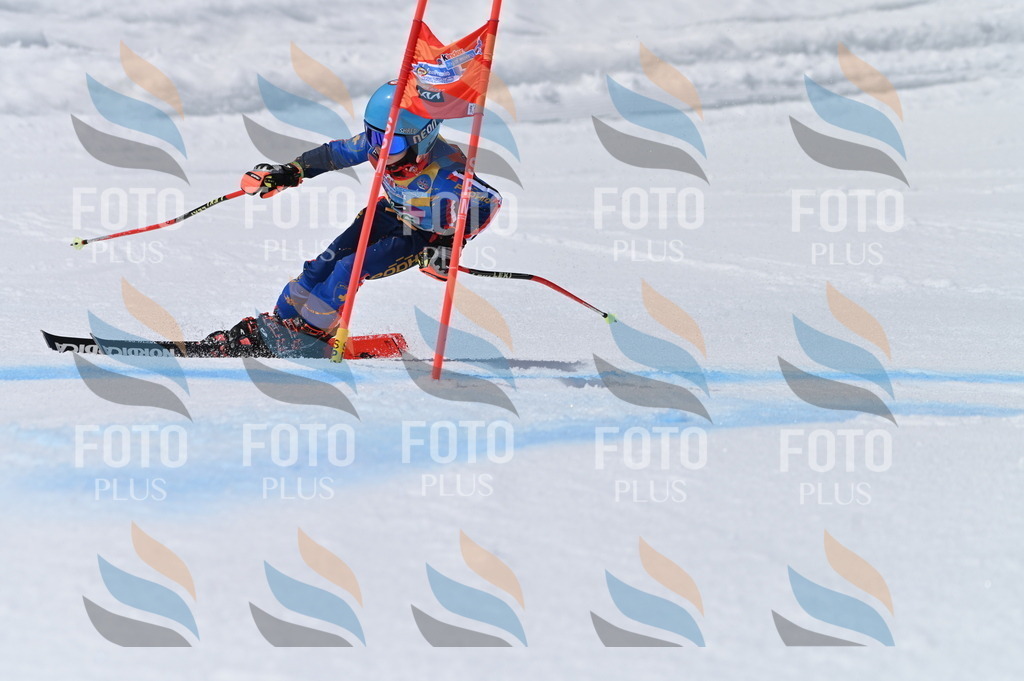 BGV_7038 | holidayphoto