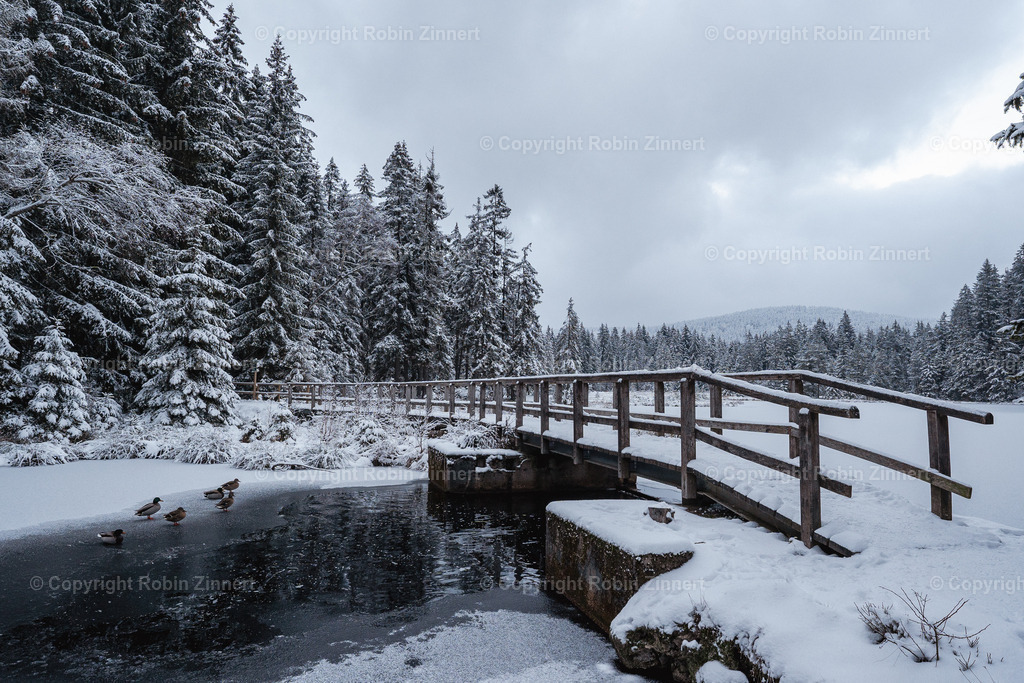 Fichtelsee_Winter00025 | Robin Zinnert - Realisiert mit Pictrs.com