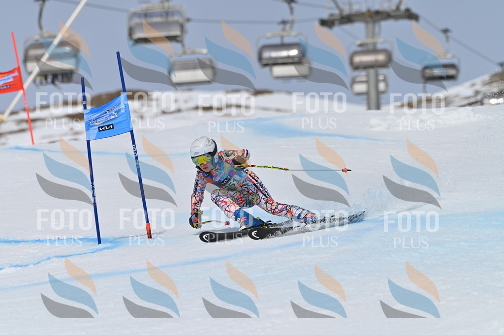 BGV_4978 | holidayphoto