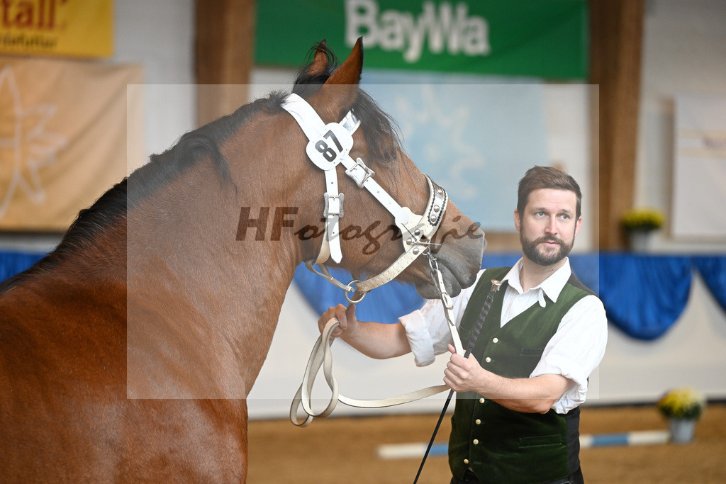 Kat-Nr. 87 Nanda_Langlechner_53220489 | hf-fotografie - Realisiert mit Pictrs.com