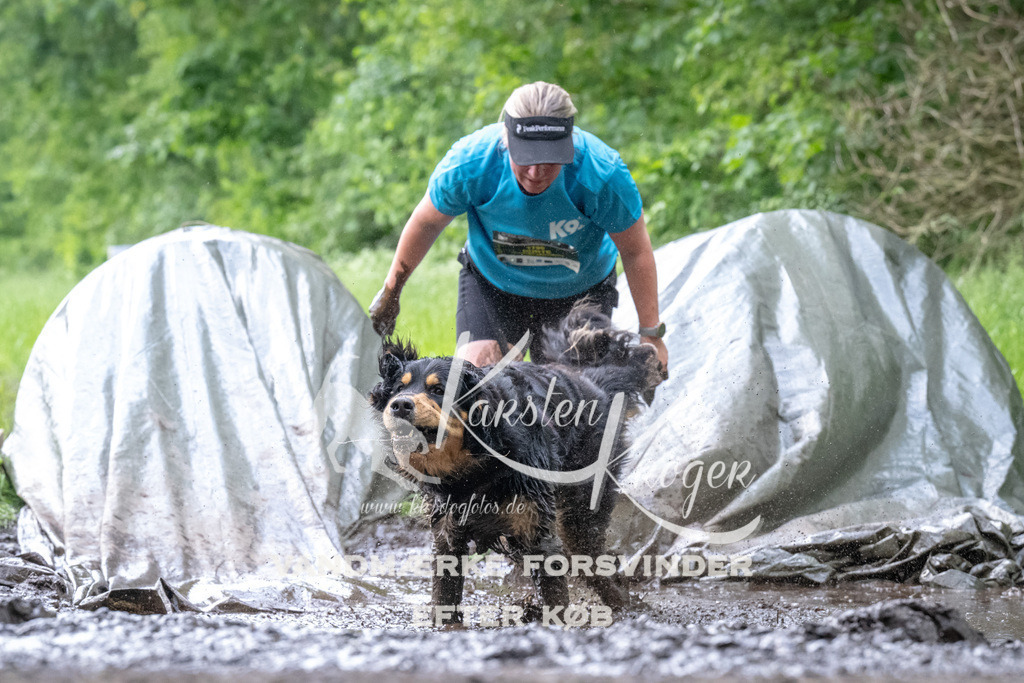 1244_ZZ93286 | kk-dogfotos