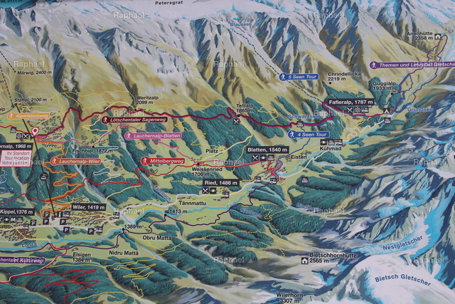 IMG_2304 | Raphael - Realisiert mit Pictrs.com