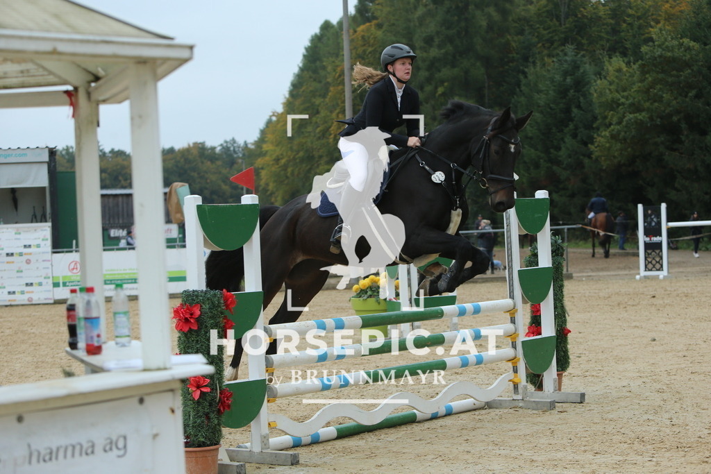 DL2Q4124 | Willkommen bei Brunnmayr - Design & Fotografie – Ihrem Spezialisten für Reitturniere und Pferdeveranstaltungen in Oberösterreich, Salzburg und Bayern! Seit über 17 Jahren sind wir leidenschaftlich dabei.