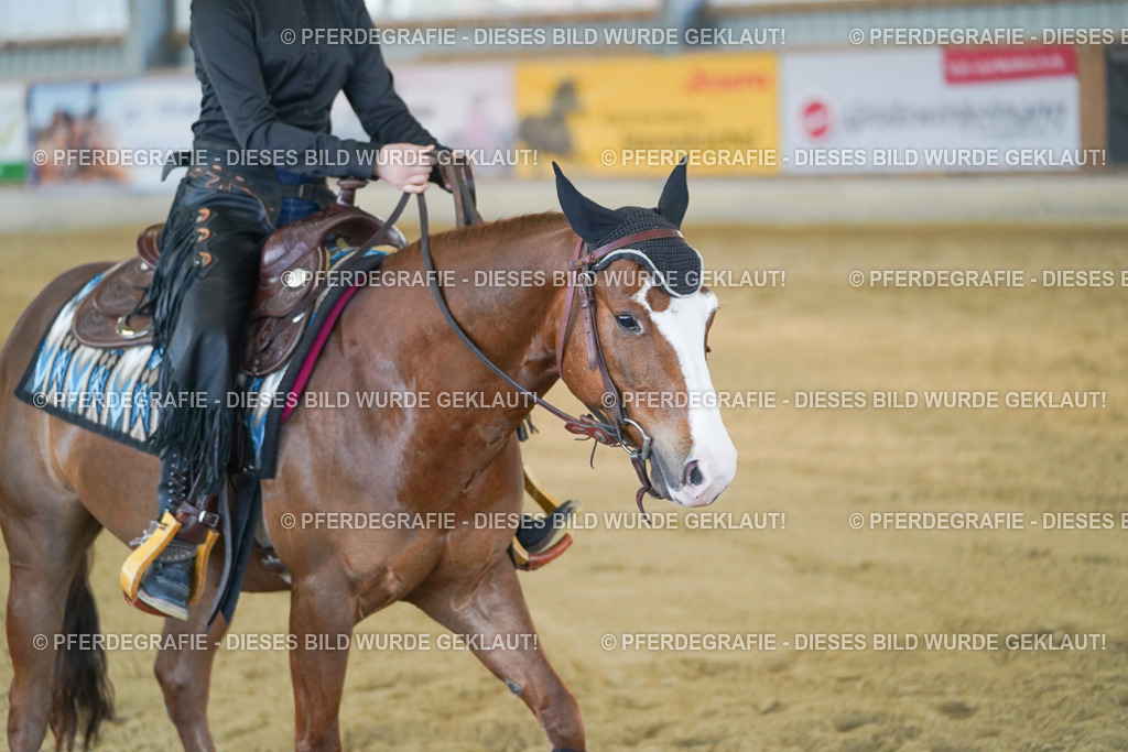 DSC08784 | Pferdegrafie