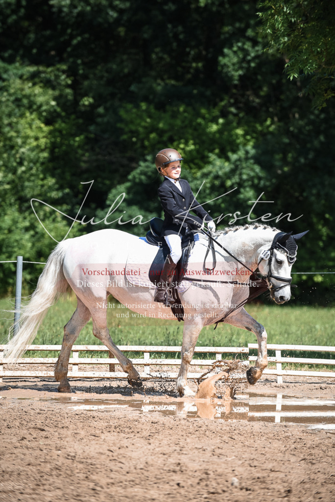 DSC_3570 | Pferde- und Turnierfotografie in Westsachsen. Pferdeportraits, Auftragszeichnungen und intuitive Kunst.