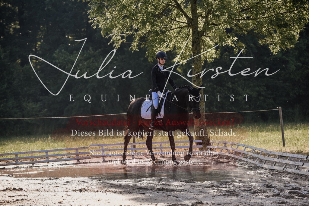 DSC_7774 | Pferde- und Turnierfotografie in Westsachsen. Pferdeportraits, Auftragszeichnungen und intuitive Kunst.