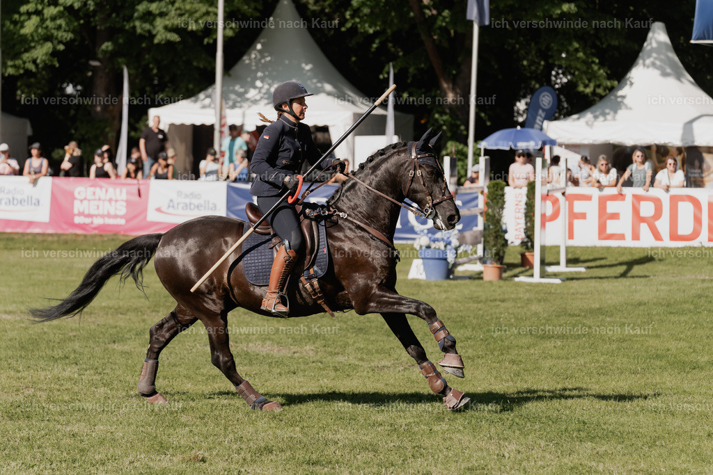 WE_MOS_Stoib_315_PI2025_2353 | Pferd International München 2025