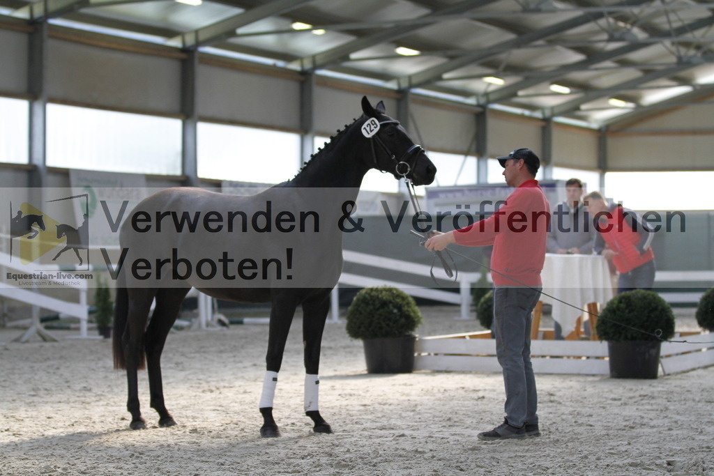 _MG_9811 | equestrian-live-com