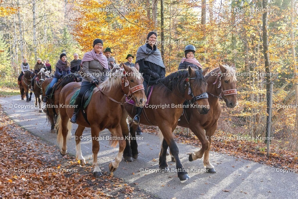 LL24-312 | foto-bettina-krinner - Realisiert mit Pictrs.com