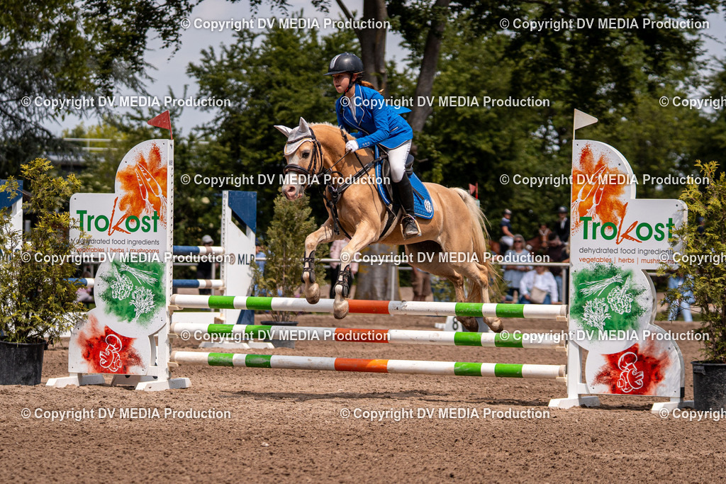 Eppelheim Tag 3-524 | dv-media-shop - Realisiert mit Pictrs.com