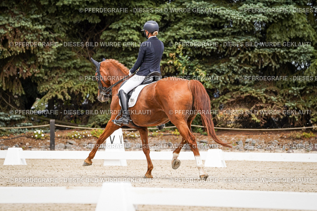 DSC04732 | Pferdegrafie