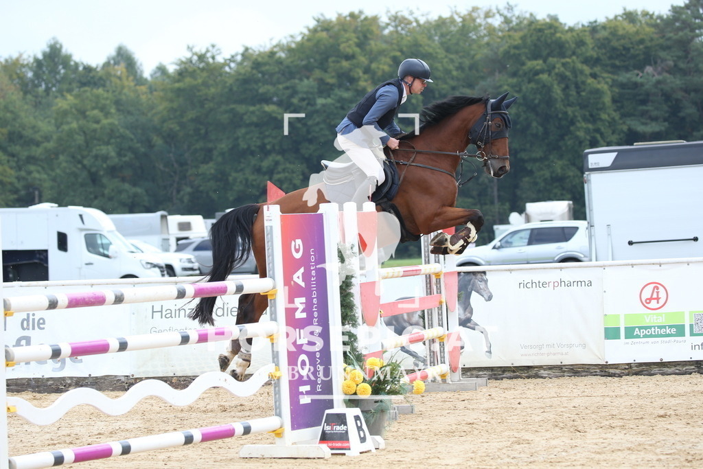 DL2Q4680 | Willkommen bei Brunnmayr - Design & Fotografie – Ihrem Spezialisten für Reitturniere und Pferdeveranstaltungen in Oberösterreich, Salzburg und Bayern! Seit über 17 Jahren sind wir leidenschaftlich dabei.