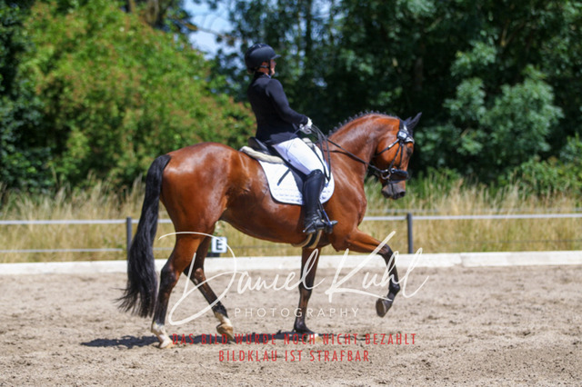 DKP46517 | Turniersportfotografie; Pferdefotografie; Dressurfotografie