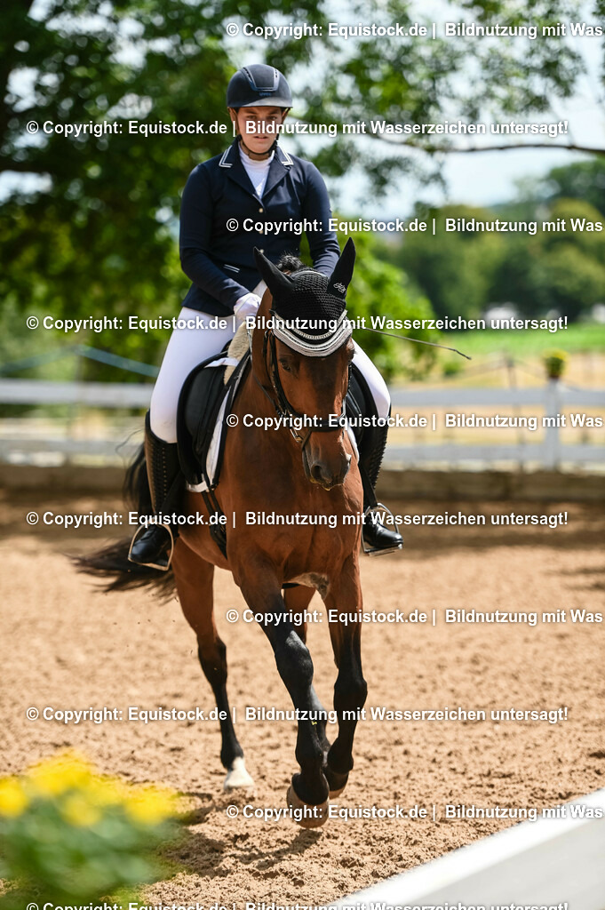 20230716_03_Dressurprfg. Kl.L - Tr._0684 | equistock