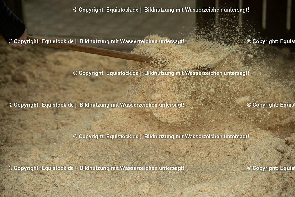 20190409_Einstreu_in_Pferdebox_0005 | Foto: Thomas Hartig