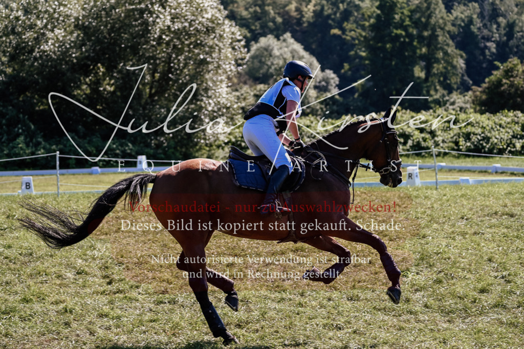 DSC_2014 | Pferde- und Turnierfotografie in Westsachsen. Pferdeportraits, Auftragszeichnungen und intuitive Kunst.