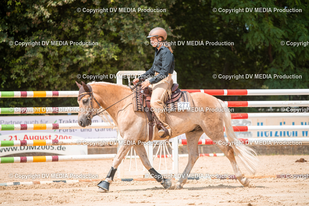 ZS2_8316 | dv-media-shop - Realisiert mit Pictrs.com