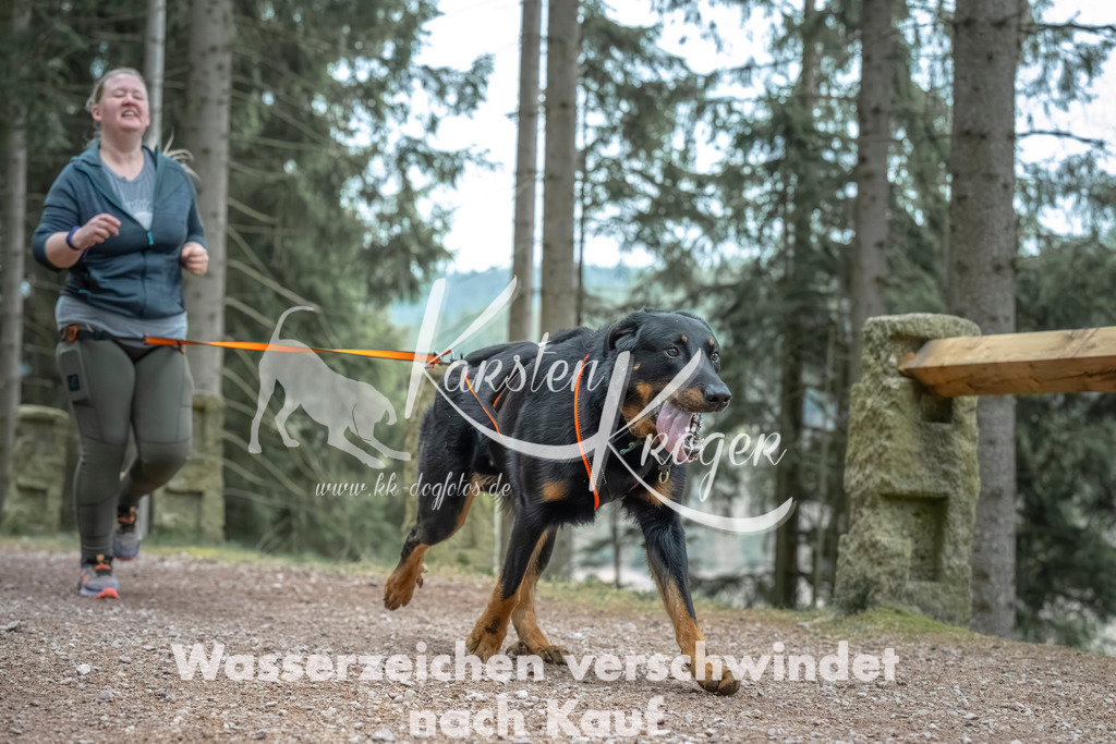 0815_ZZ90725 | kk-dogfotos