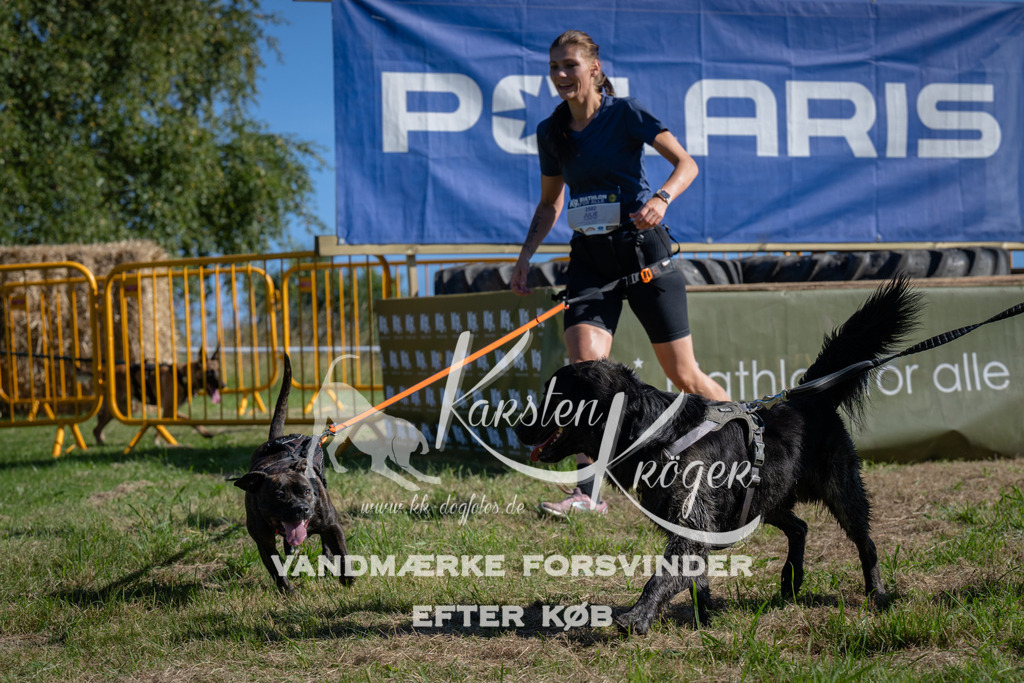 1001_ZZ97212 | kk-dogfotos