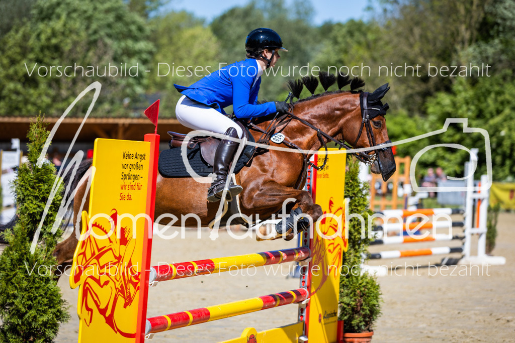 Donop24-A2Spr-162 | MomenTaufnahmen Pferdesportfotos