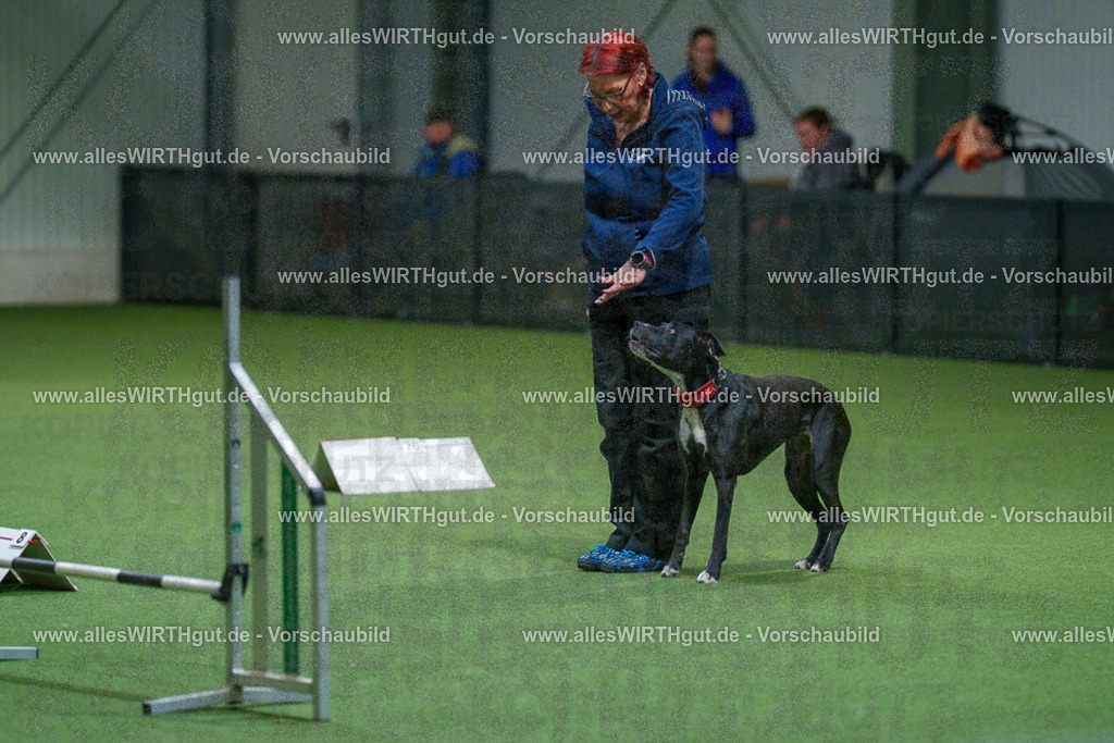 7R503231 | Professionelle Tierfotografie in Mönchengladbach von Daniel Wirth (allesWIRTHgut). Liebevolle & natürliche Bilder von Hunden & Katzen für unvergessliche Erinnerungen.