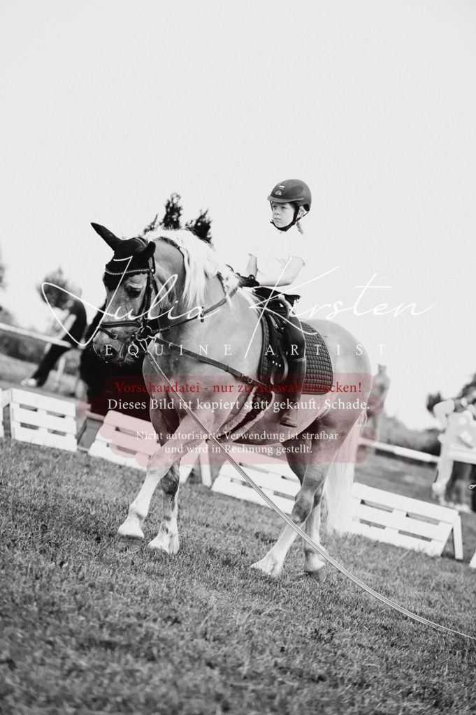 DSC_5255 | Pferde- und Turnierfotografie in Westsachsen. Pferdeportraits, Auftragszeichnungen und intuitive Kunst.